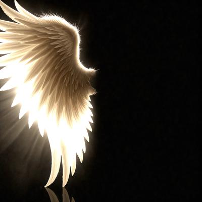 Primary subject: Angel wings

Setting/background: Dark background

Visual style: Digital art

Colors and mood: White wings, black background, and a sense of mystery